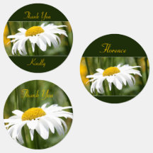 Decorative White Daisy