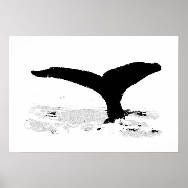 Decorativwhale Poster (Vorne)