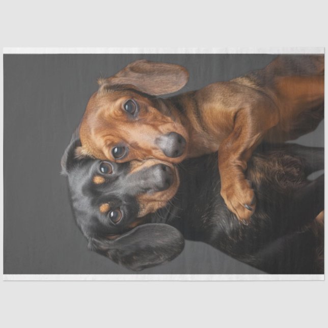 Decoupage 2 Dackel Hunde umarmen Seidenpapier (Vorderseite)