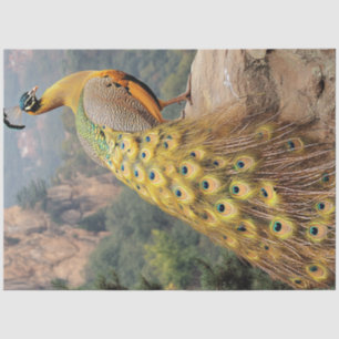 Decoupage Berg Majestätischer Pfau Golden Seidenpapier