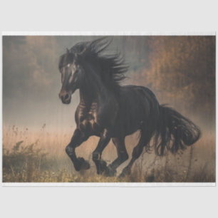 Decoupage Black Stallion Running Field Seidenpapier
