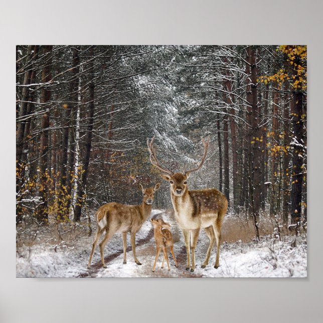 Decoupage der Hirschfamilie Poster (Vorne)
