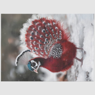 Decoupage Exotic Red Christmas Bird Seidenpapier