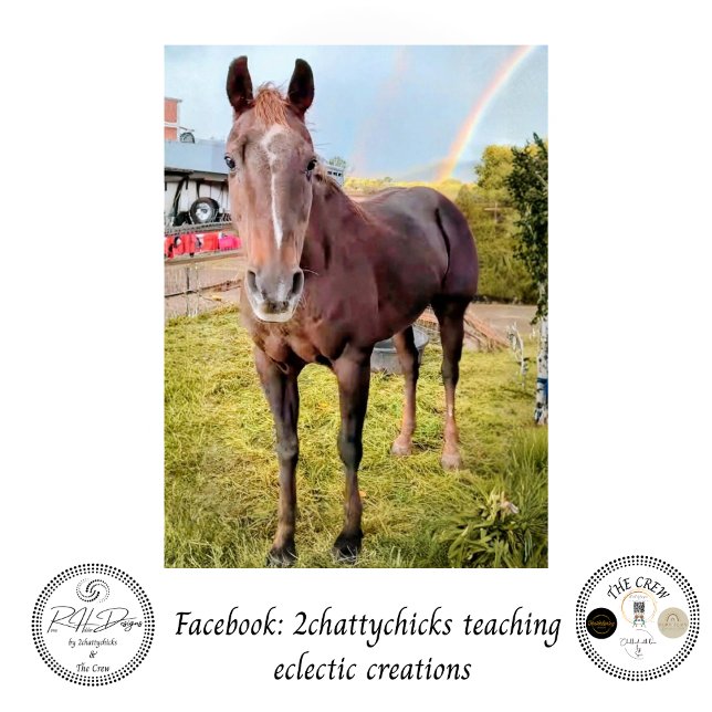 Decoupage Horse in Field Rainbow  Seidenpapier (Von Creator hochgeladen)