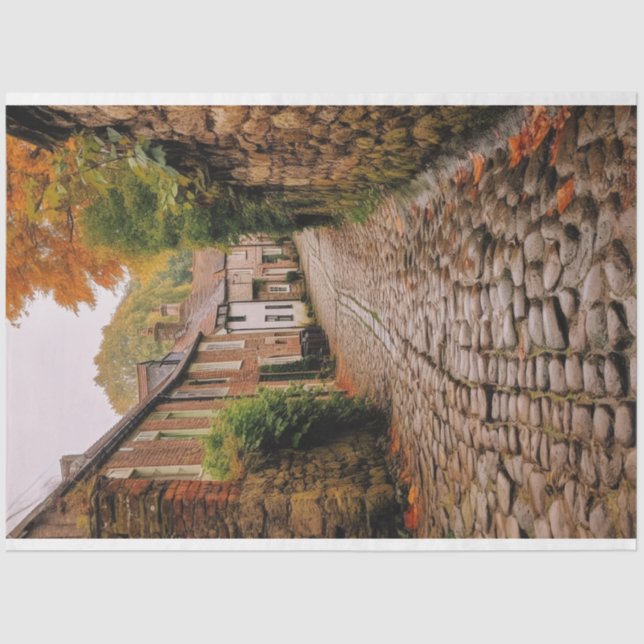 Decoupage Paper, Wrapping, - Ephemerial Elegance 1 Seidenpapier (Vorderseite)