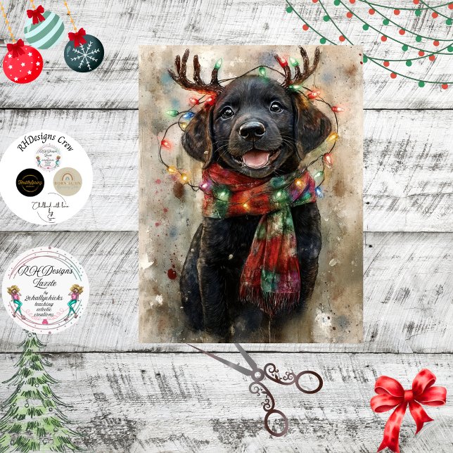Decoupage Special Black Lab Pup Noah Seidenpapier (Von Creator hochgeladen)