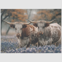 Decoupage Texas Longhorns Feld Bluebonnet Blumen