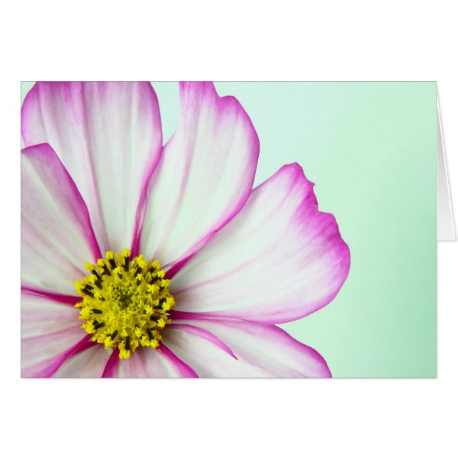 Découpé en rose (Devant horizontal)