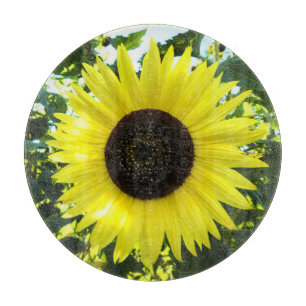 Découper Planche à coupes de verre à sensation de tournesol