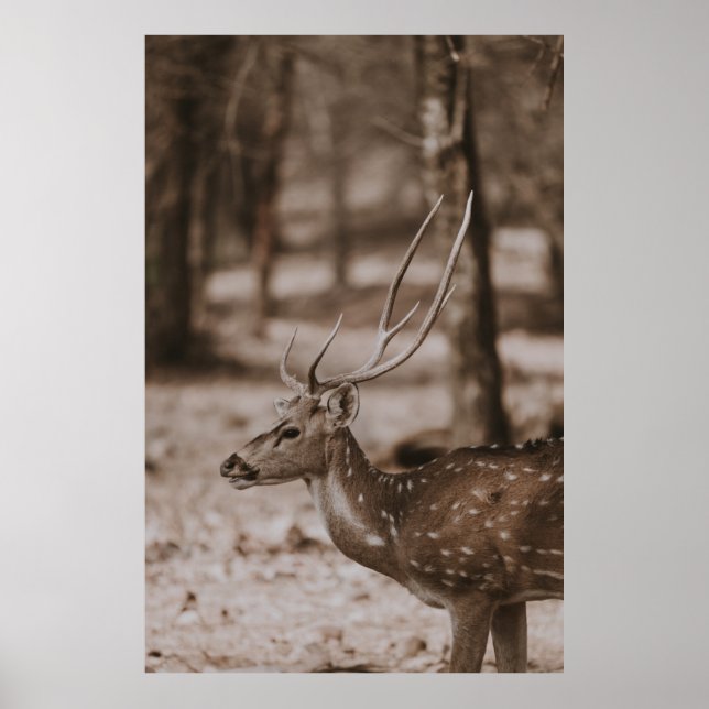 DEE MIT ANTLERS POSTER (Vorne)