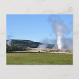 Deep Blue Geysir und Bison in Yellowstone Postkarte
