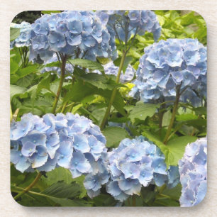 Deep Blue Hydrangeas Untersetzer