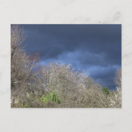 Deep Blue Skyline Postkarte