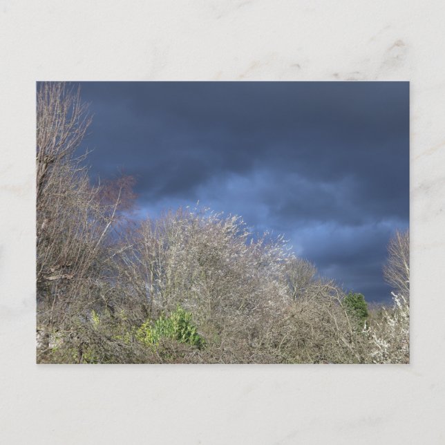 Deep Blue Skyline Postkarte (Vorderseite)