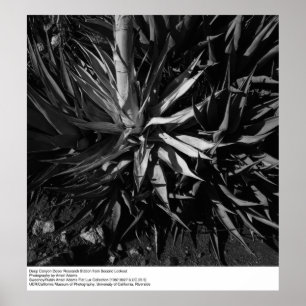 Deep Canyon Wüstenforschungsstation von Ansel Adam Poster
