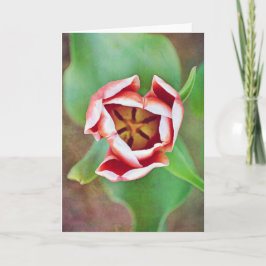 Deep In der Tulip Blume Art Note Card Karte