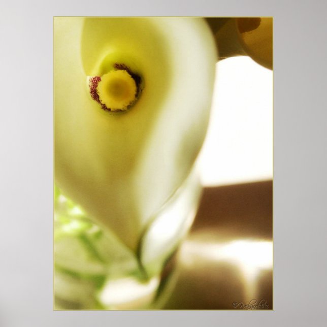 Deep In Poster (Vorne)