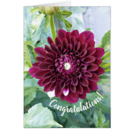Deep Lila Dahlia Blume Herzlichen Glückwunsch Kart