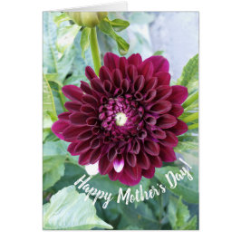 Deep Lila Dahlia Blume Muttertagskarte