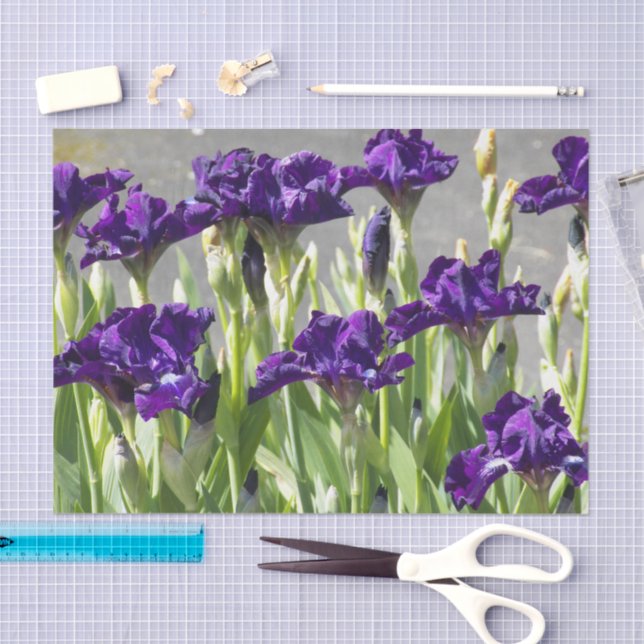 Deep Lila Irises Floral Seidenpapier (Handwerk)