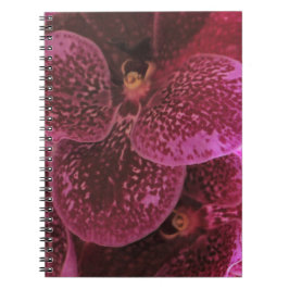 Deep Lila Orchid Spiral Notebook III Notizblock
