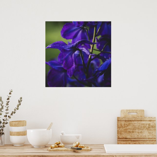Deep Purple Delphinium Poster (Küche)