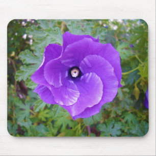 Deep Purple Hibiscus Flower, Mousepad