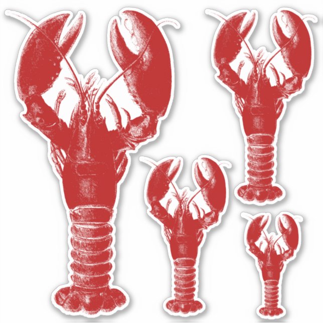 Deep Red and White Lobster Aufkleber (Vorderseite)