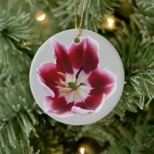 Deep Red Tullip Keramik Ornament