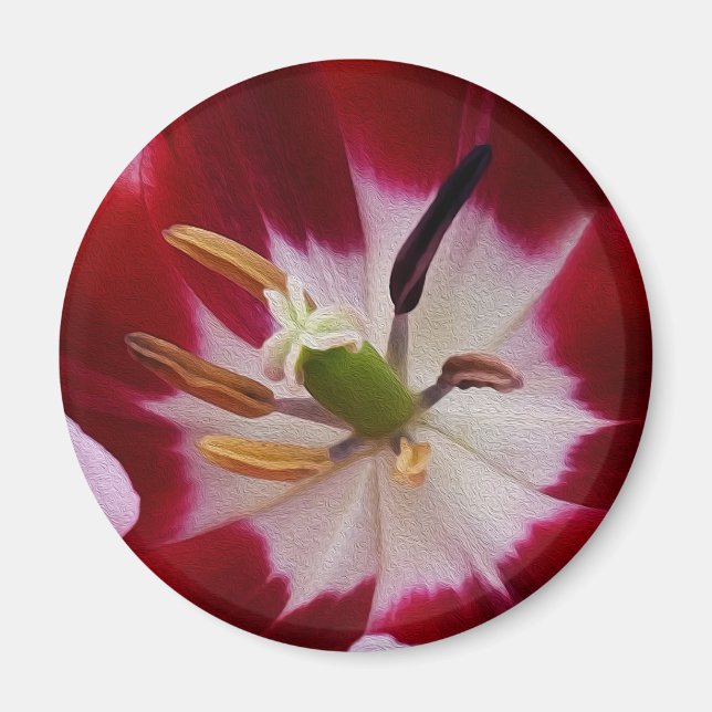 Deep Red Tullip Magnet (Vorne)