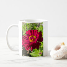 Deep Red Zinnia Blume