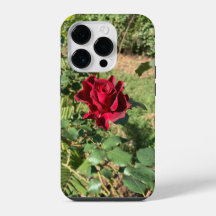 Deep Rote Rose iPhone 14 Pro Fall