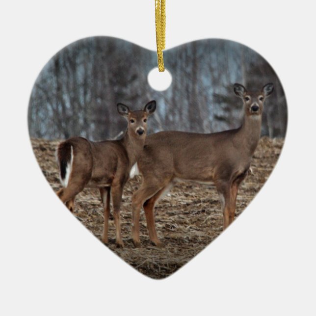 Deer_0337v Keramik Ornament (Vorne)