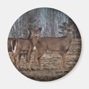 Deer_0338v Magnet