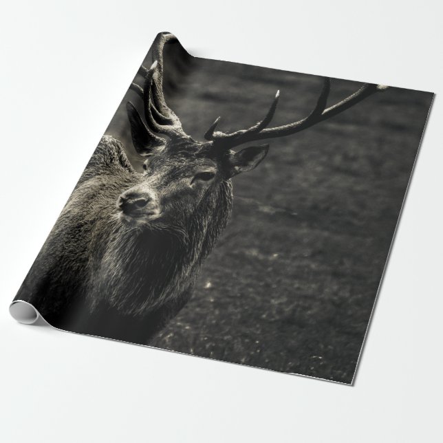 DEER 12 POINT BUCK GESCHENKPAPIER (Ungerollt)