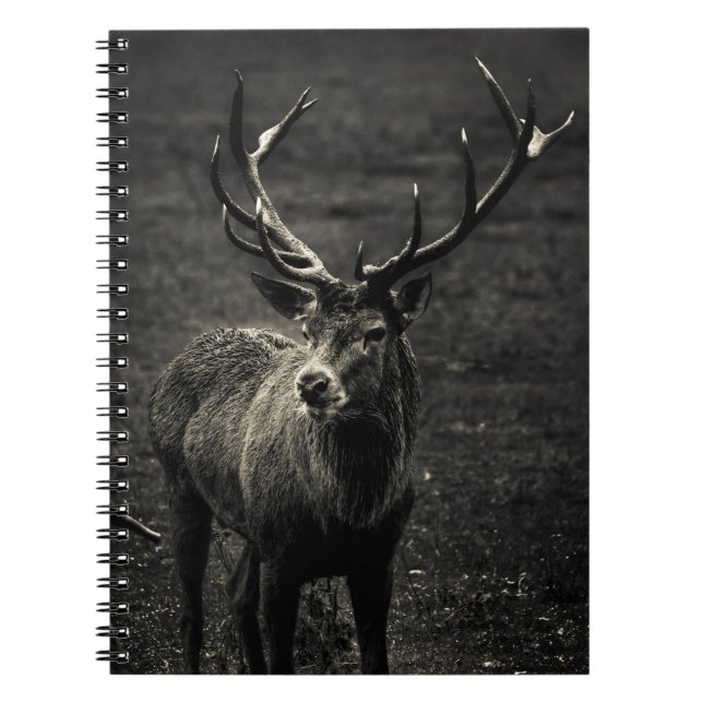 DEER 12 POINT BUCK NOTIZBLOCK (Vorderseite)