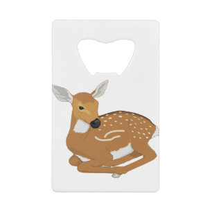 Deer Animal Mammal Spots Resting Wild Nature