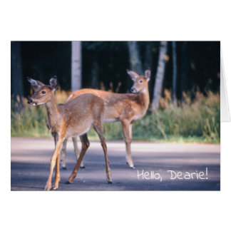 Deer, Bonjour Dearie