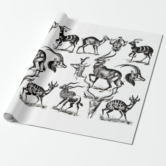 Deer Buck Antelope Animals wildlife Illustrations Geschenkpapier (Ungerollt)