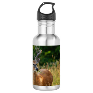 Deer Buck Edelstahlflasche