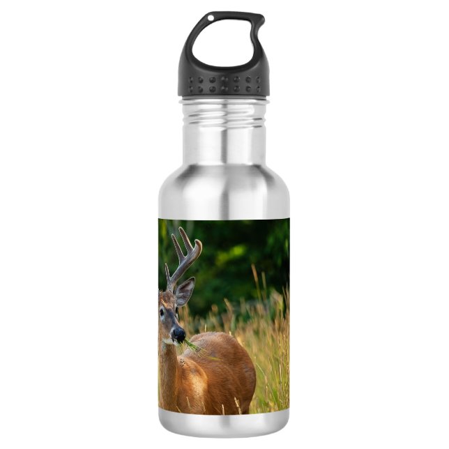 Deer Buck Edelstahlflasche (Vorderseite)