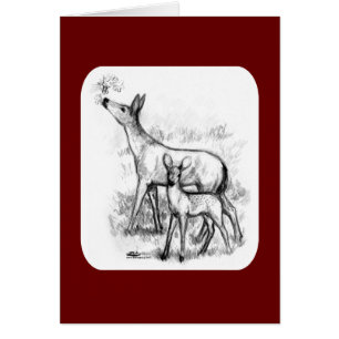 Deer Family