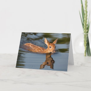 Deer Fawn   Minnesota Karte