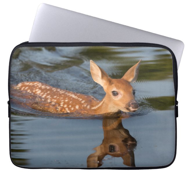 Deer Fawn | Minnesota Laptopschutzhülle (Vorderseite)