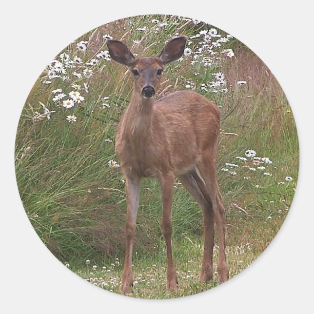 Deer Fawn Sticker (Vorderseite)