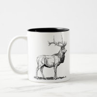 Deer / Hirsch