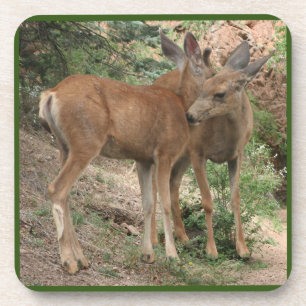 Deer Hugging Getränkeuntersetzer