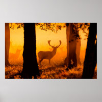 Deer in a danish forestdeer, autumn, beautiful, de