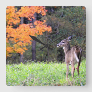 Deer In an Autumn Field Quadratische Wanduhr