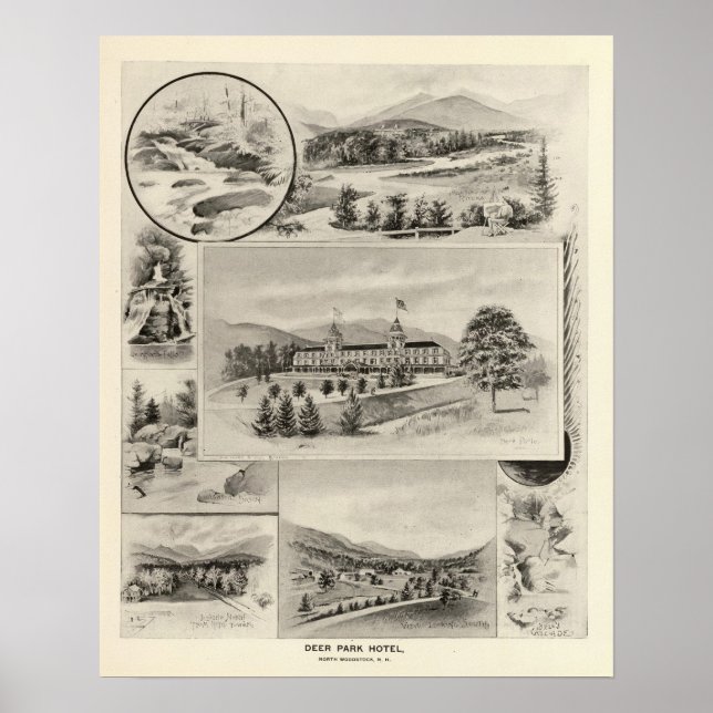 Deer Park Hotel Poster (Vorne)